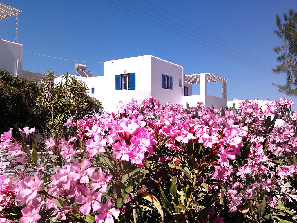 Nicos Studios & Apartments Logaras Exterior photo